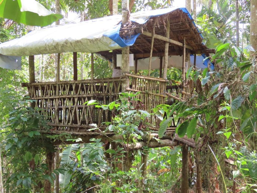 Spice Garden Farm House Sultan Bathery Exteriér fotografie